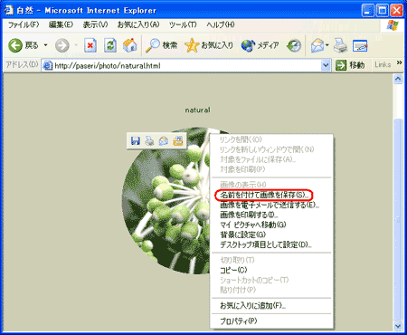 文書番号 Internet Explorerで壁紙に設定した画像を上書きされないようにする方法 Internet Explorer